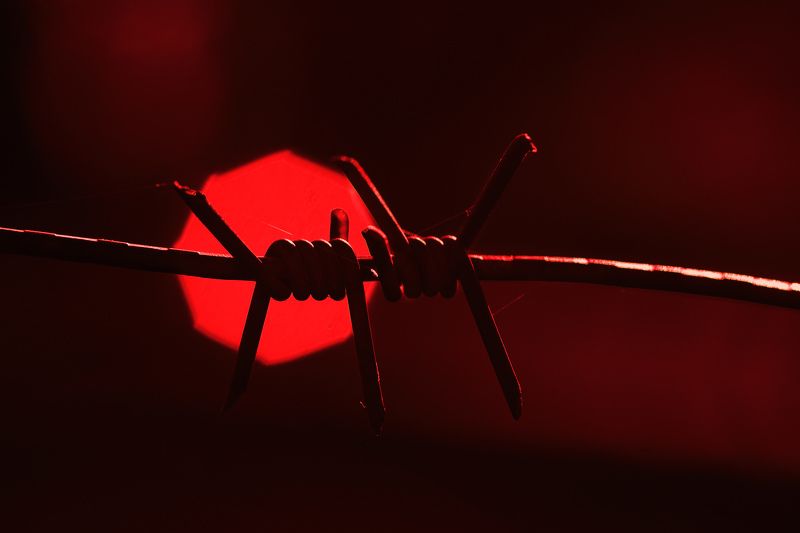 макро, красный цвет, красный, колючка, колючая проволока Новый деньphoto preview