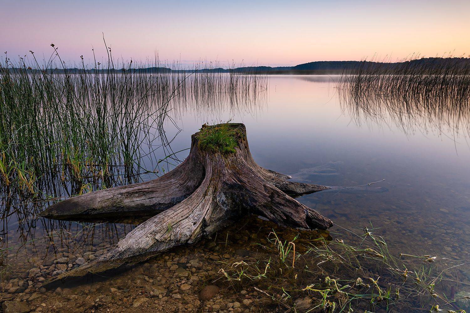 , Александр Абросимов