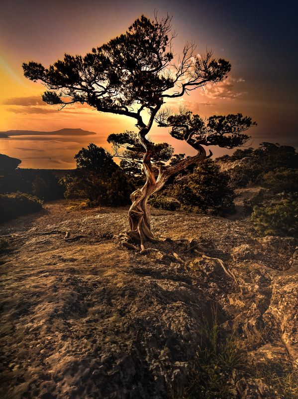 Один на пике Космосphoto preview