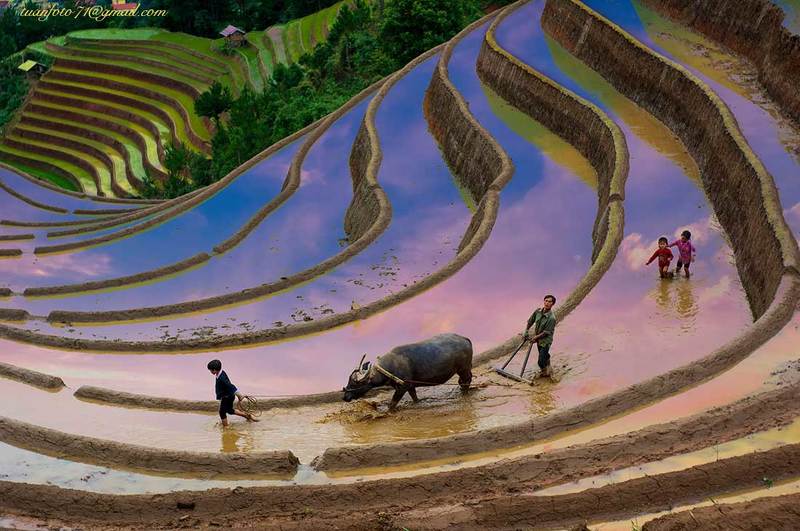 Mu Cang Chai - Viet Namphoto preview