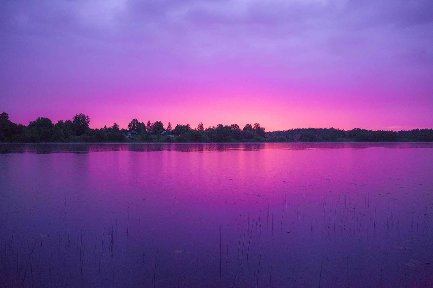 , Напалкин Станислав