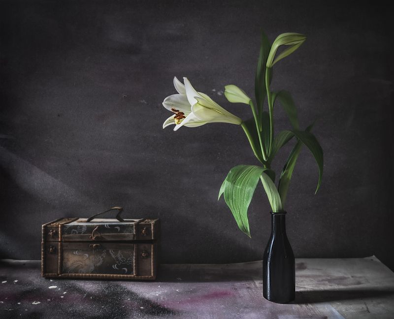 натюрморт цветок лилия старый сундучок дневной свет Mésalliance / Неравный бракphoto preview