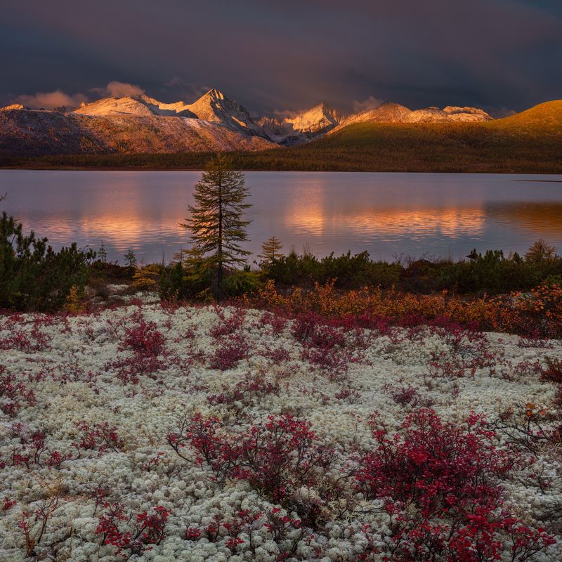 озеро джека лондона Озеро Джека Лондона.photo preview