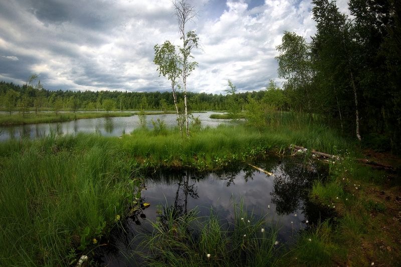 Болотоphoto preview