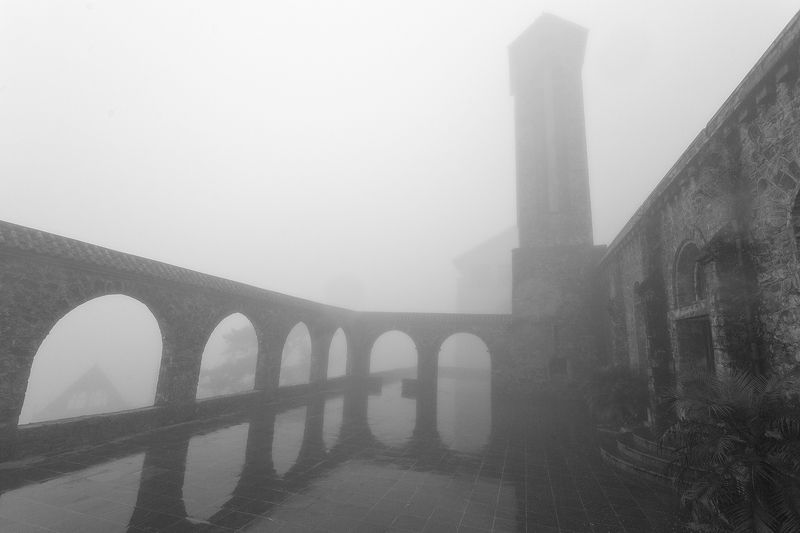 Tam Daophoto preview