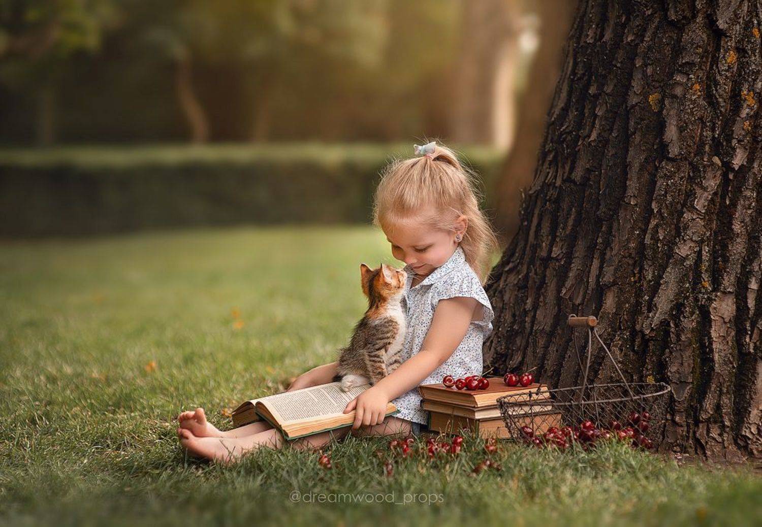 Аня и Люся. Автор: Яблоновская Марина , Яблоновская Марина