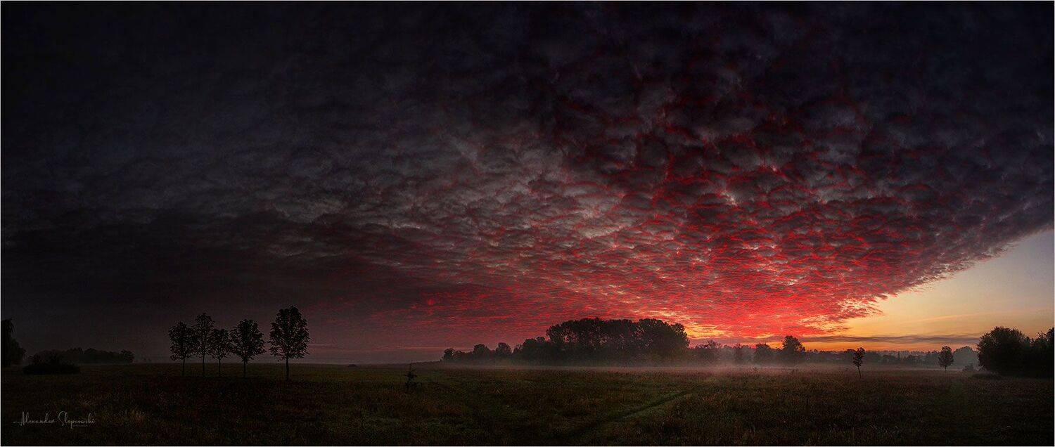 Anger, Alexander Slepcowski