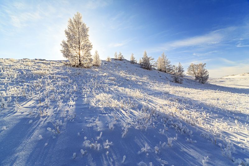 Мороз и солнцеphoto preview