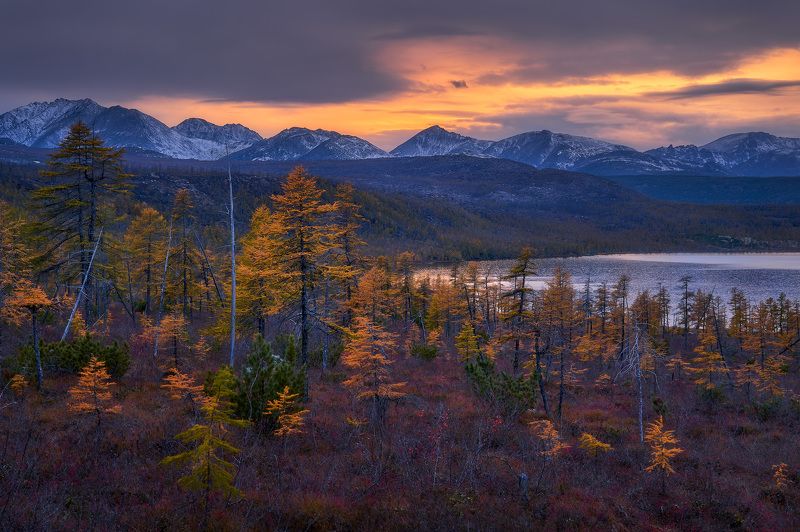 Вечер на Джеке фото превью
