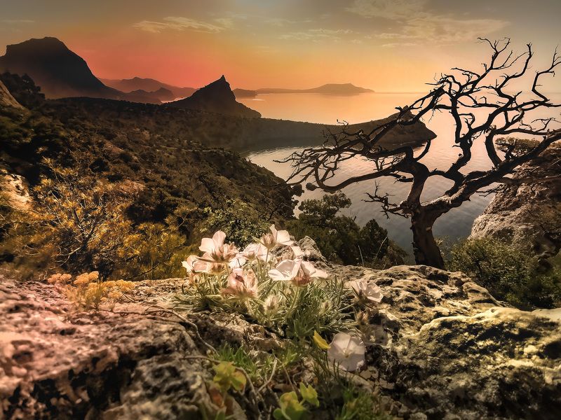 пейзаж Крым Новый Свет восход На пикеphoto preview