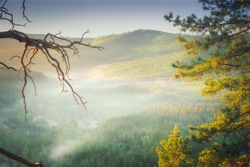 fog Туман опутал влажной ватой фото превью