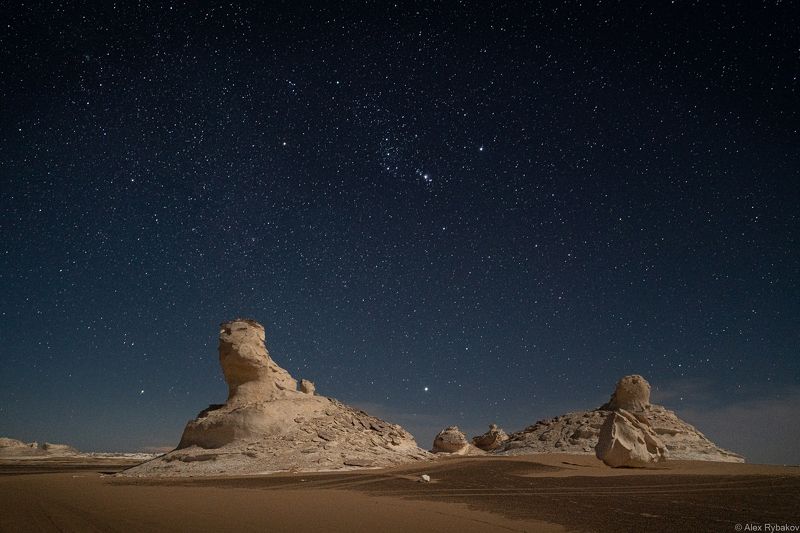 ночь пустыня  Ночное бизеphoto preview