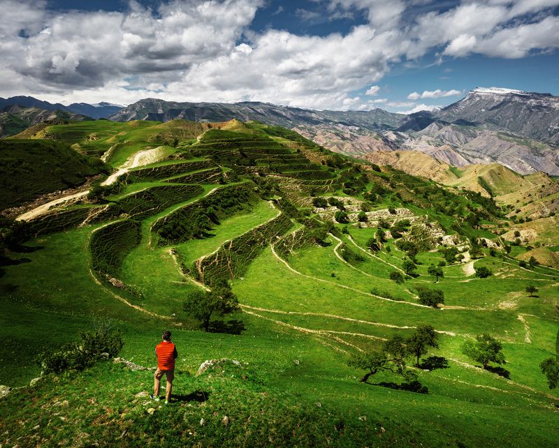 дагестан, кавказ, гуниб, чох, террасы Горные террасы фото превью