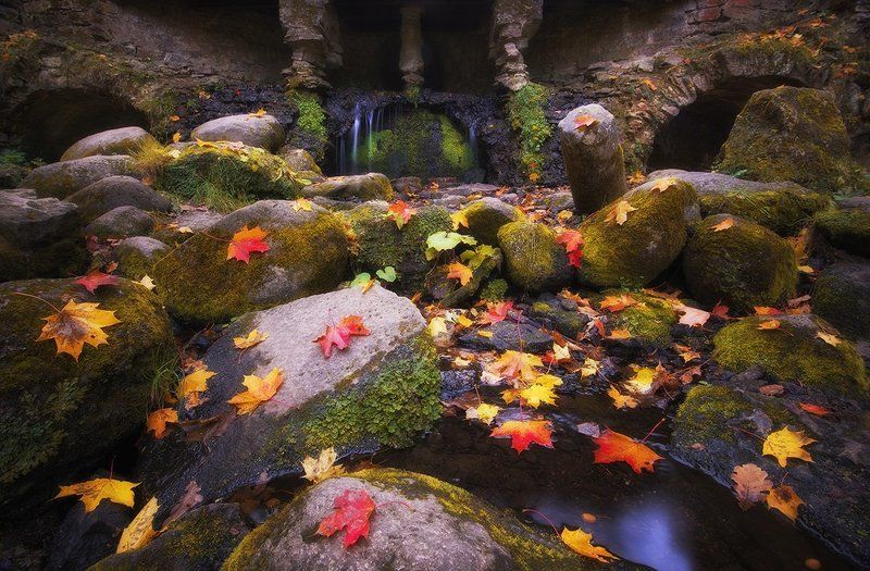 Врата в Морию.photo preview