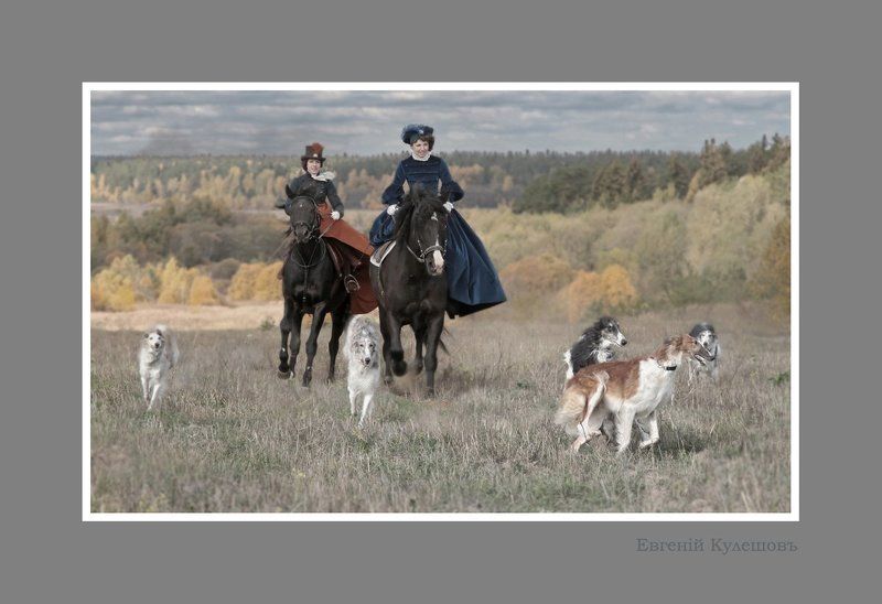 царская охота, борзая, гончая, всадник, наездник, конь, лошадь, жеребец, евгений кулешов, кулешов евгений, evgeny kuleshov Царская охота... фото превью