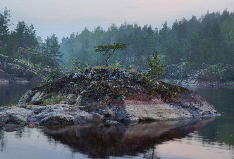 Ладожский бонсайphoto preview