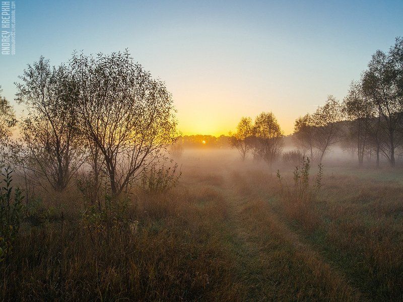 Деревья, Природа, Рассвет, Солнце, Туман Рассвет в Бучеphoto preview