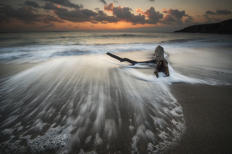 Болгария, Волна, Дерево, Облака, Рассвет, Черное море Когда Черное море встречает рассвет...photo preview