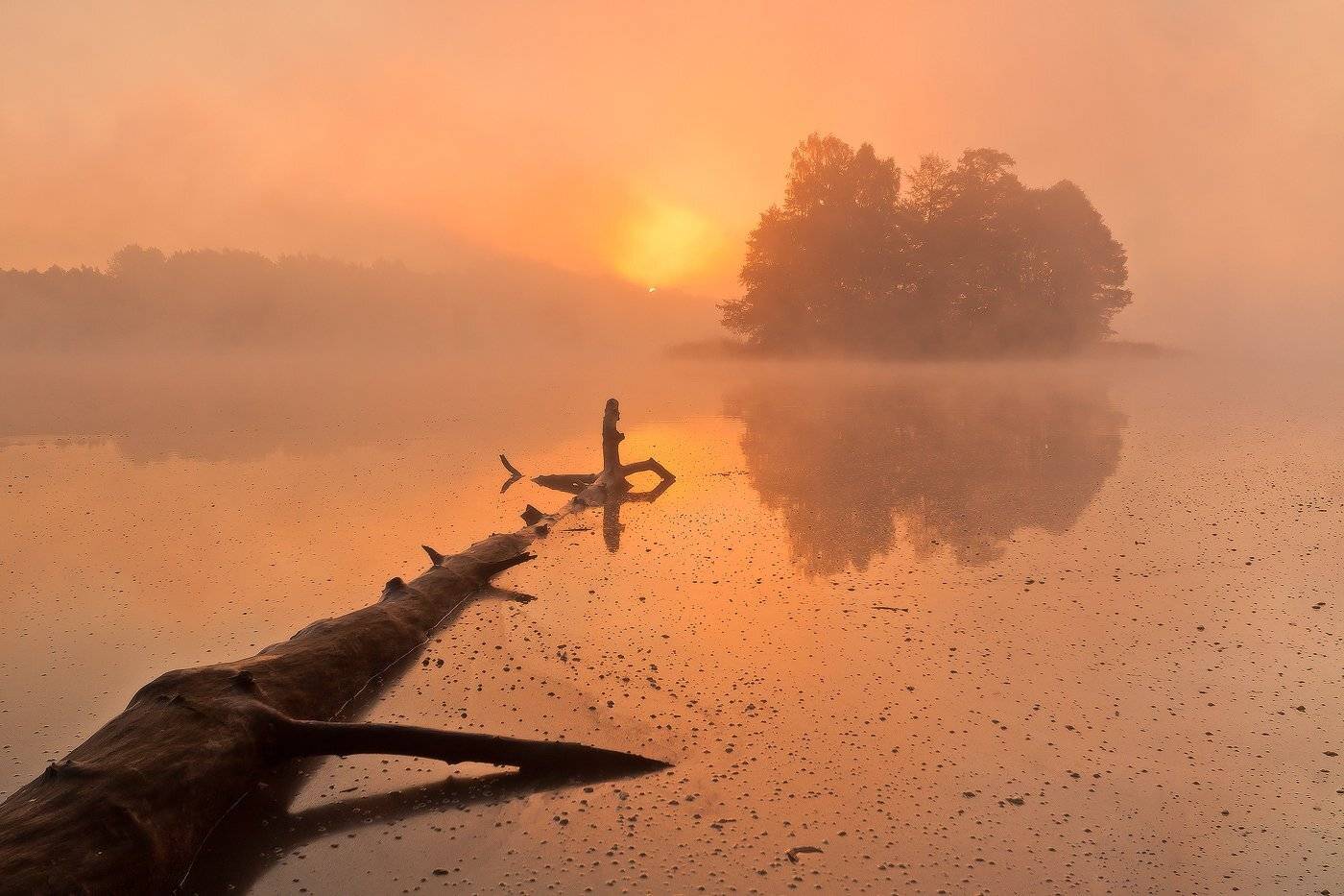 50d, Fog, Foggy, Lake, Landscape, Lee, Mist, Poland, Sokol, Sunrise, Wood, Łukasz Sok&oacute;ł