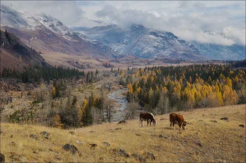 Акташ, Горный алтай ***photo preview