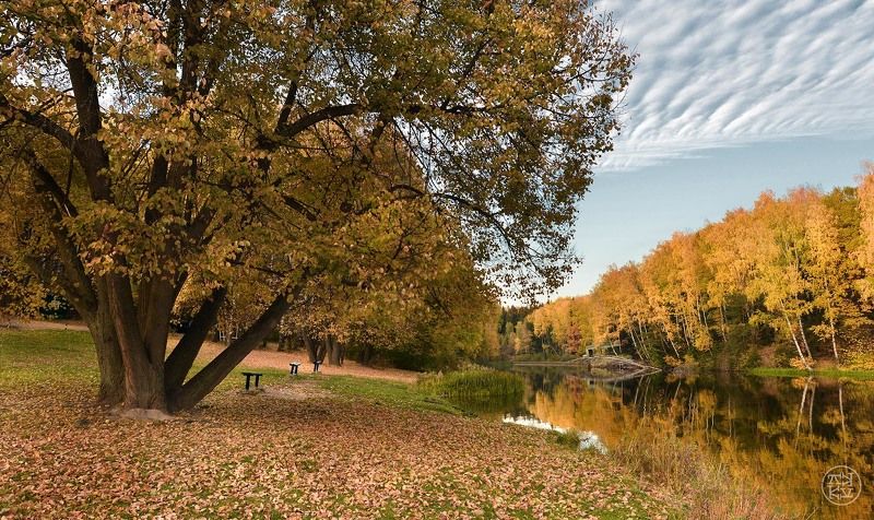 Тихая бухтаphoto preview