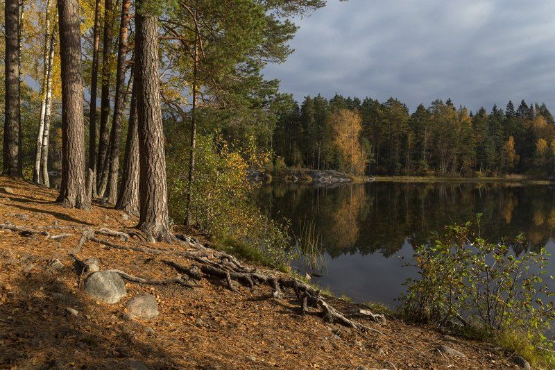 Осень на Вуоксеphoto preview