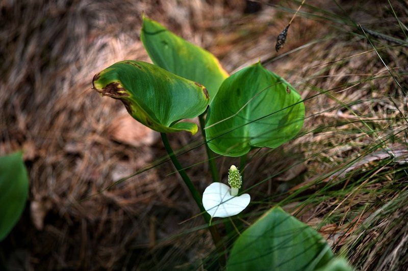Кораблекрушениеphoto preview