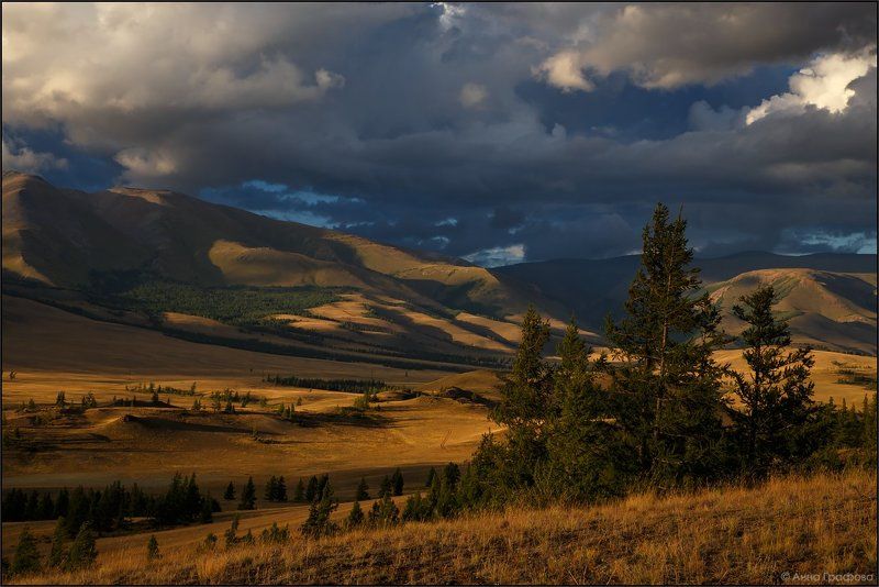 Алтай, Аня графова, Вечер, Горный алтай, Горы, Курайская степь, Курайский хребет Курайский вечерphoto preview