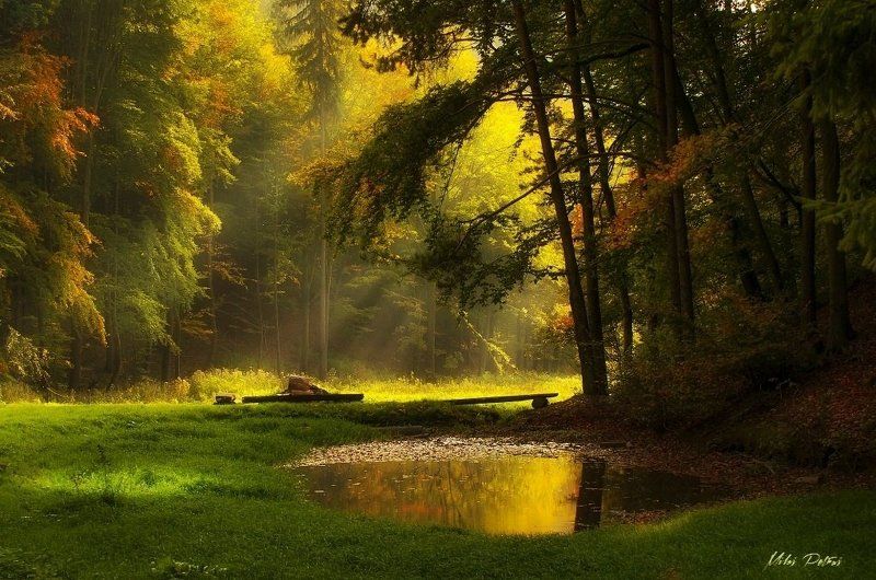 любители озероphoto preview