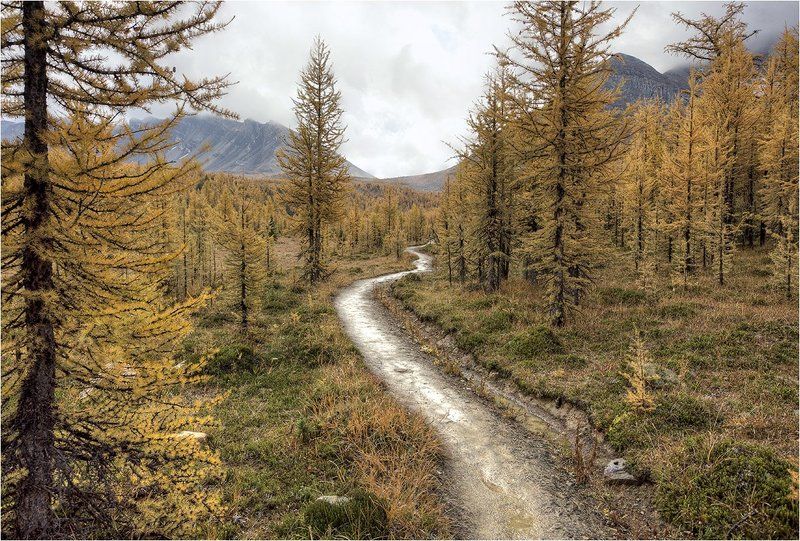 Сквозь осень в зимуphoto preview