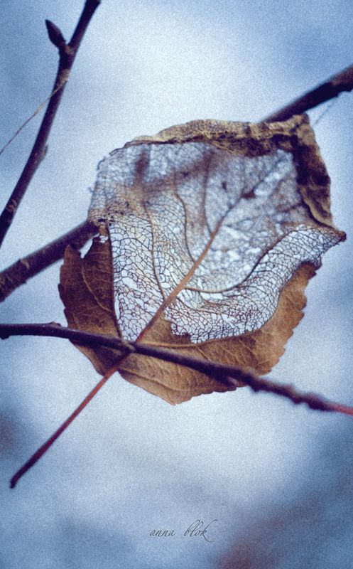 кружевной...photo preview