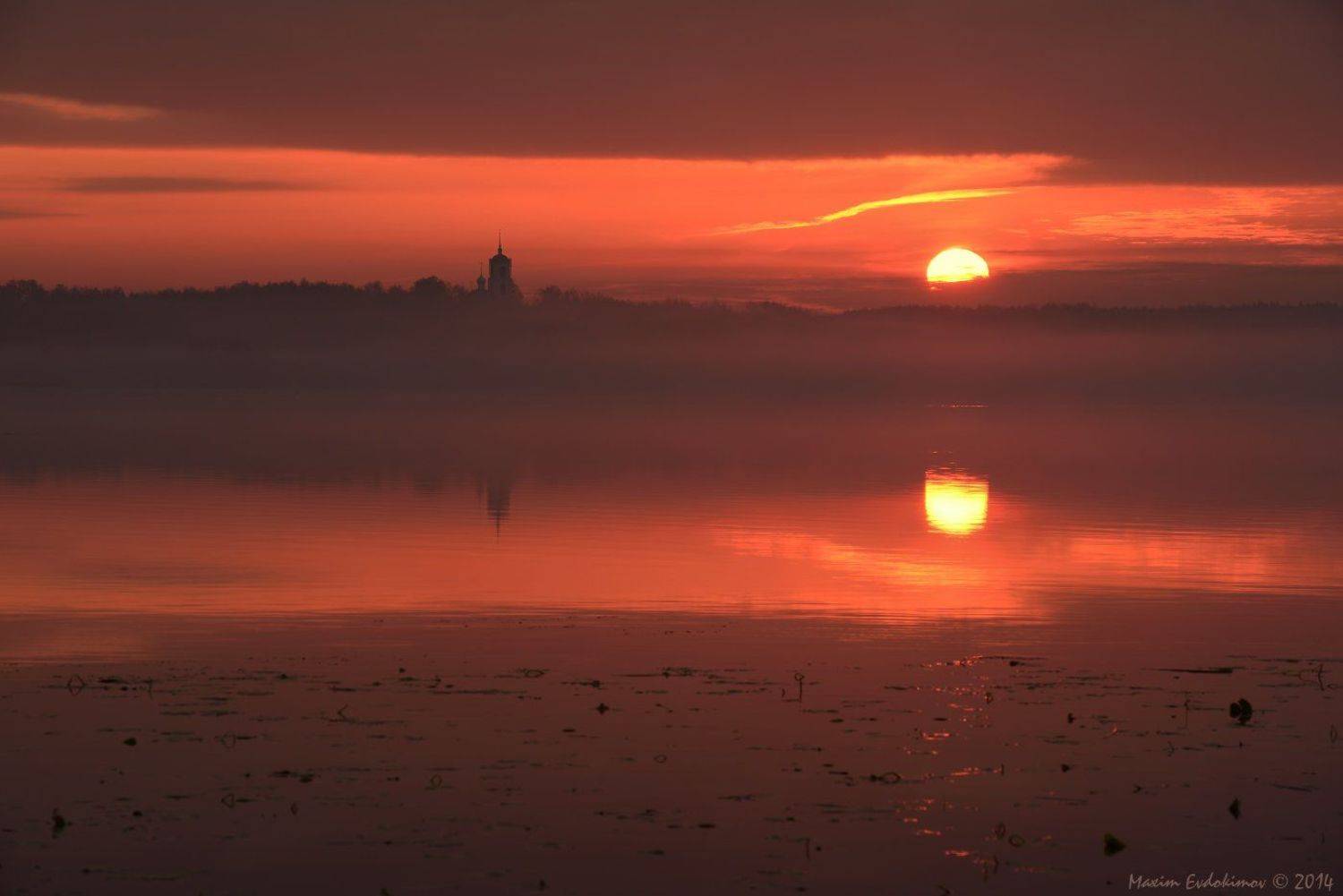 Вашутино, Максим Евдокимов