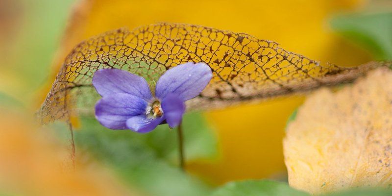 Не ко времени...photo preview