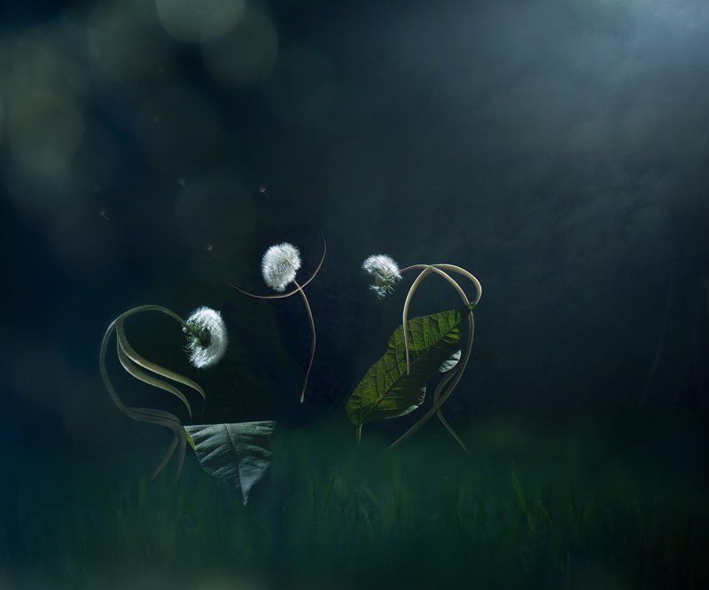 джаз, музыка, серенада, трио Moonlight Serenade...photo preview