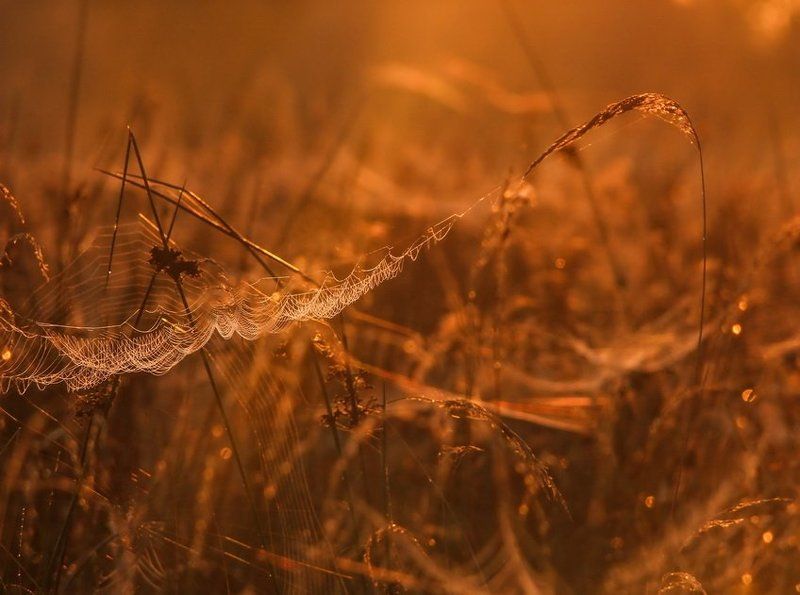 Искусство фото превью