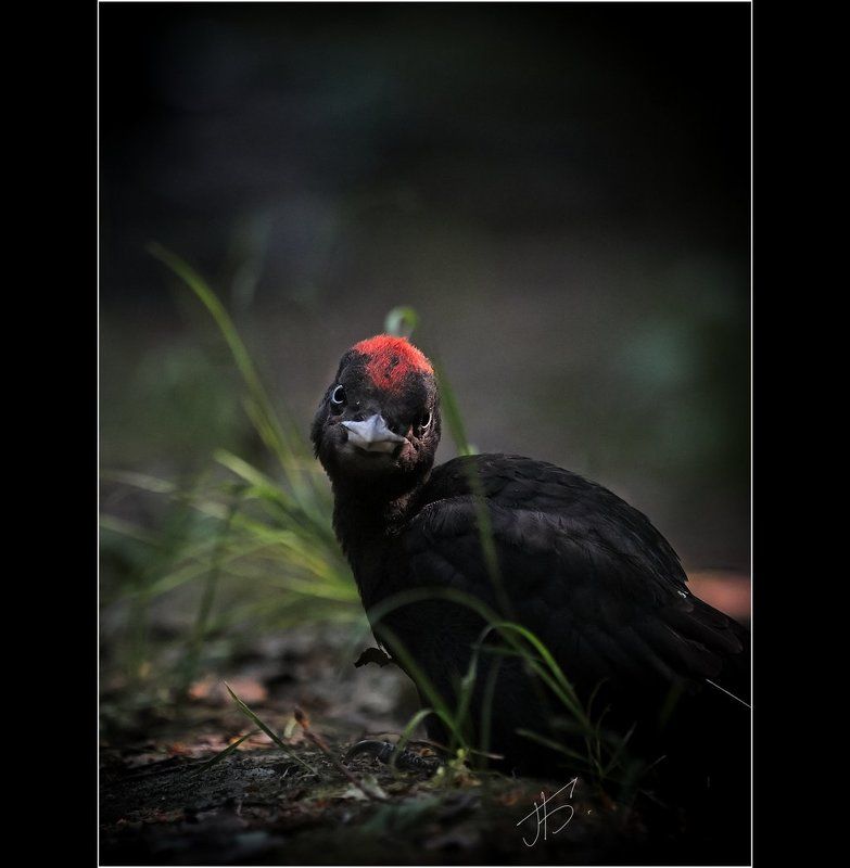вот и лету конец...... фото превью