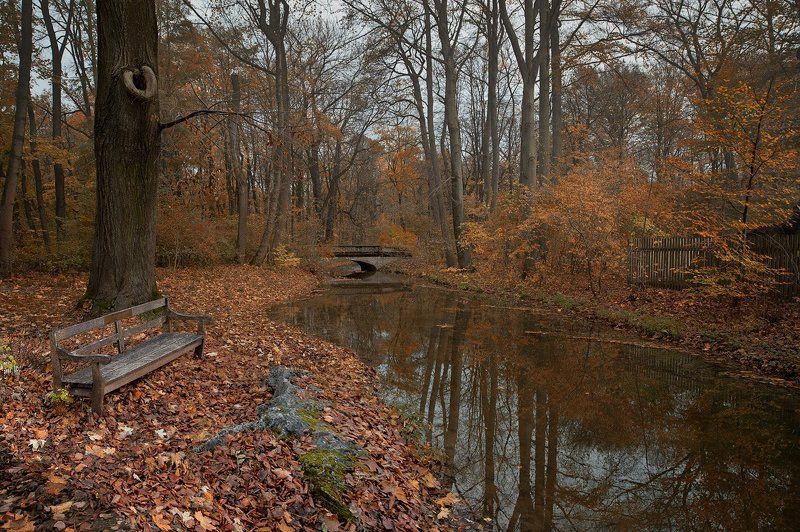 Послушать тишину осени....photo preview