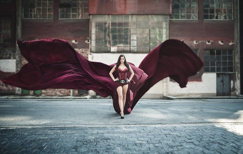 Butterflyphoto preview