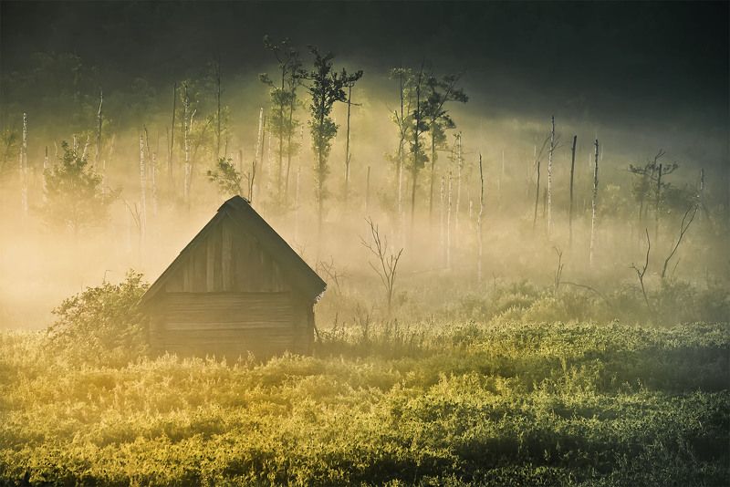 Где-то на окраинеphoto preview