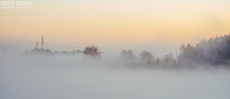 Деревья, Поле, Природа, Рассвет, Солнце, Трава, Туман Туманная велопрогулка по Бучеphoto preview