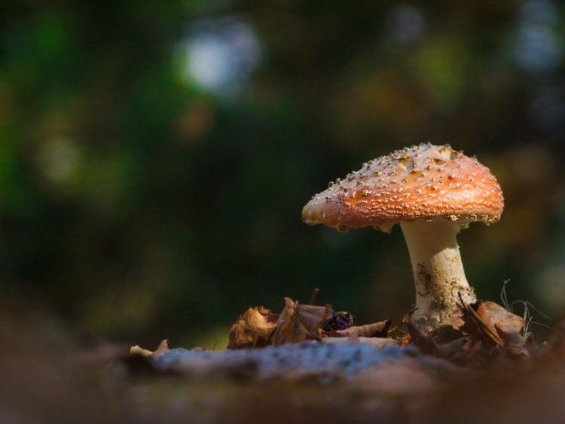 Крутой пацанphoto preview