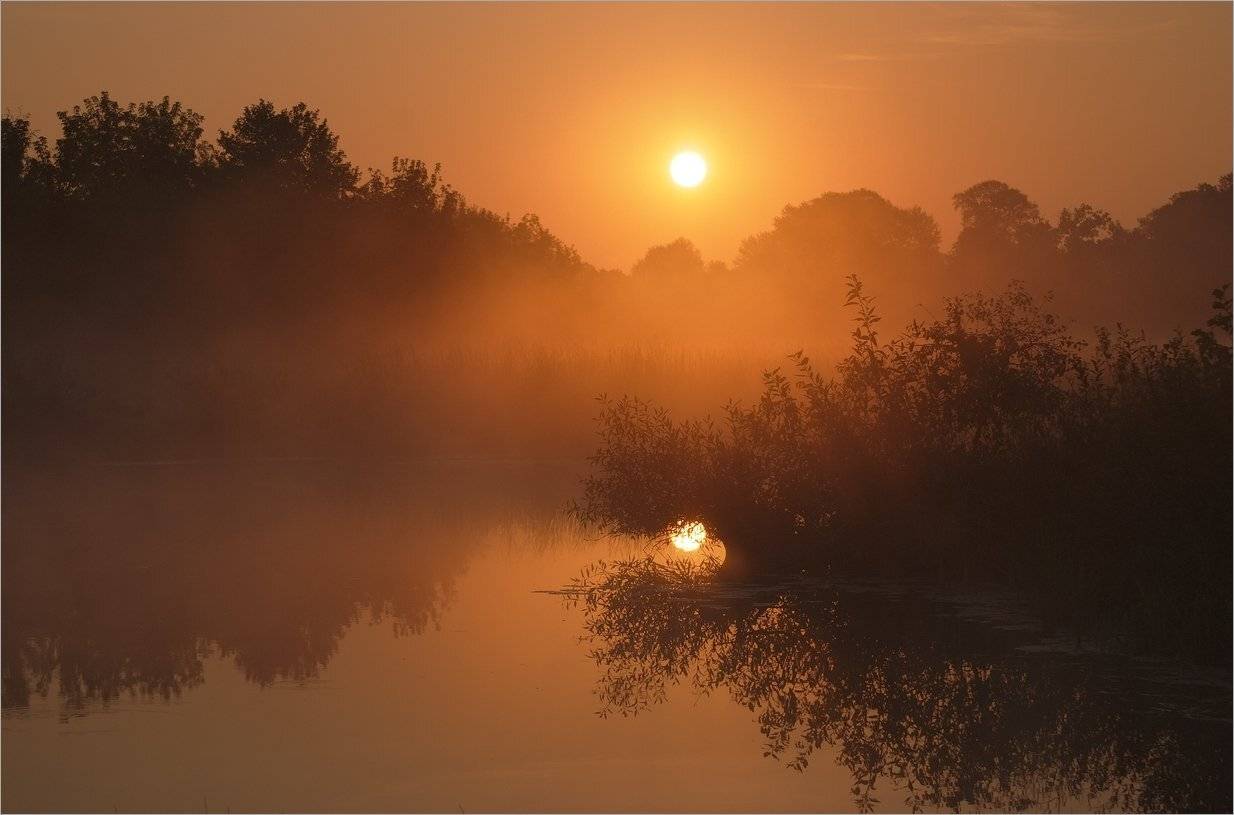 , Николай Шахманцир