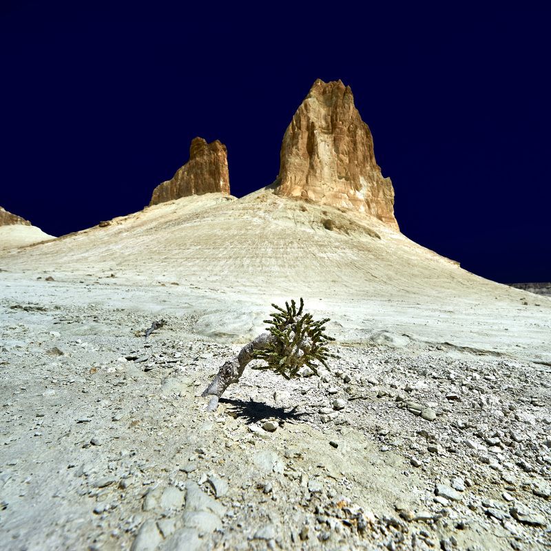 пейза казахстан босжира Противостояниеphoto preview