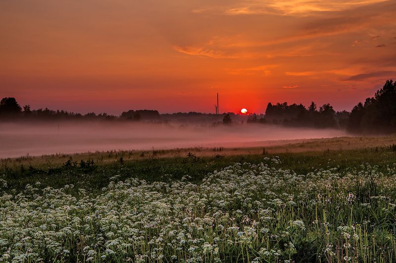 закат,дорога,туман Придорожный закат.photo preview