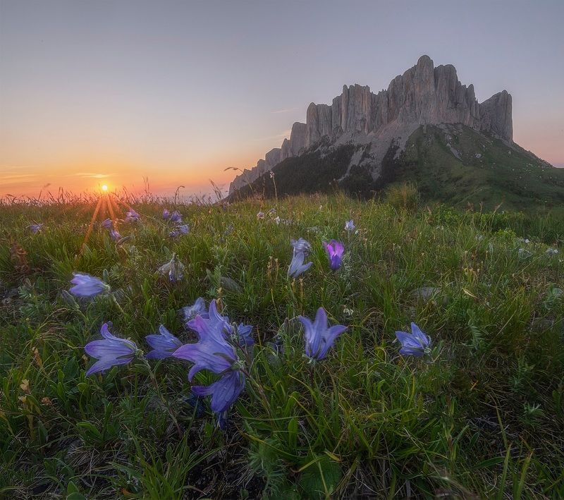 западный кавказ, большой тхач, колокольчик альпийский, закат, лето июнь Закат у подножия Большого Тхачаphoto preview