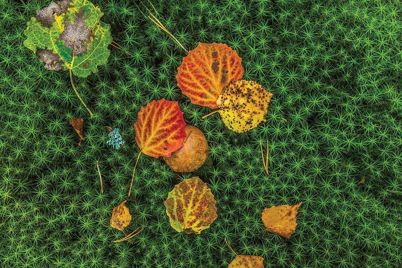 По мотивам путешествий Гулливера фото превью