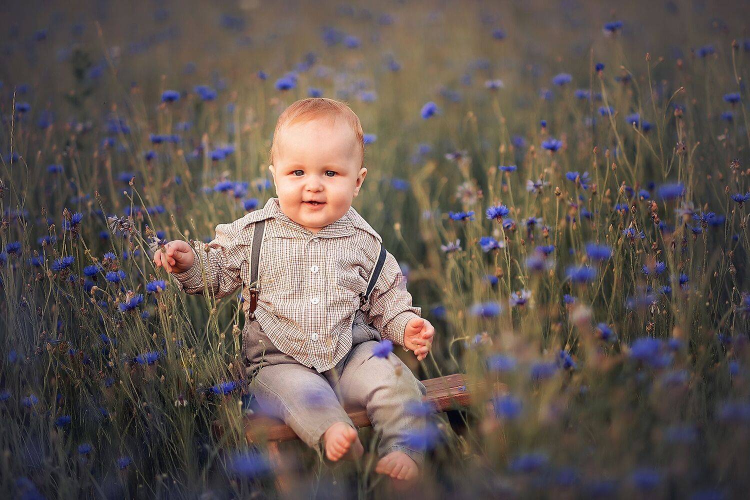 Автор: Волкова Алена , Волкова Алена