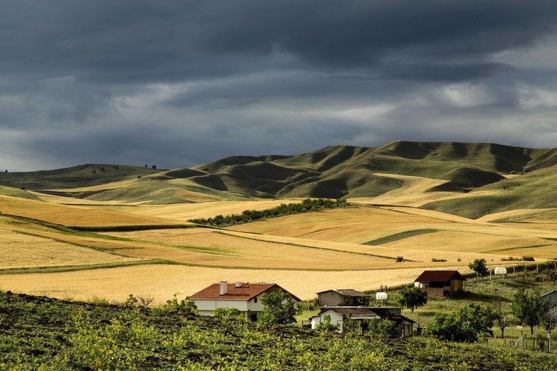 Tarlalarphoto preview