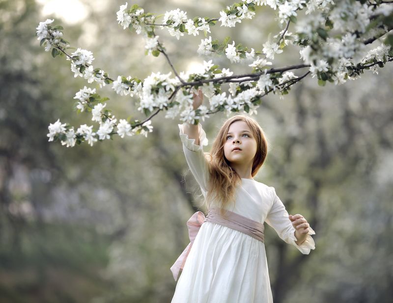 Дотянуться до небесphoto preview