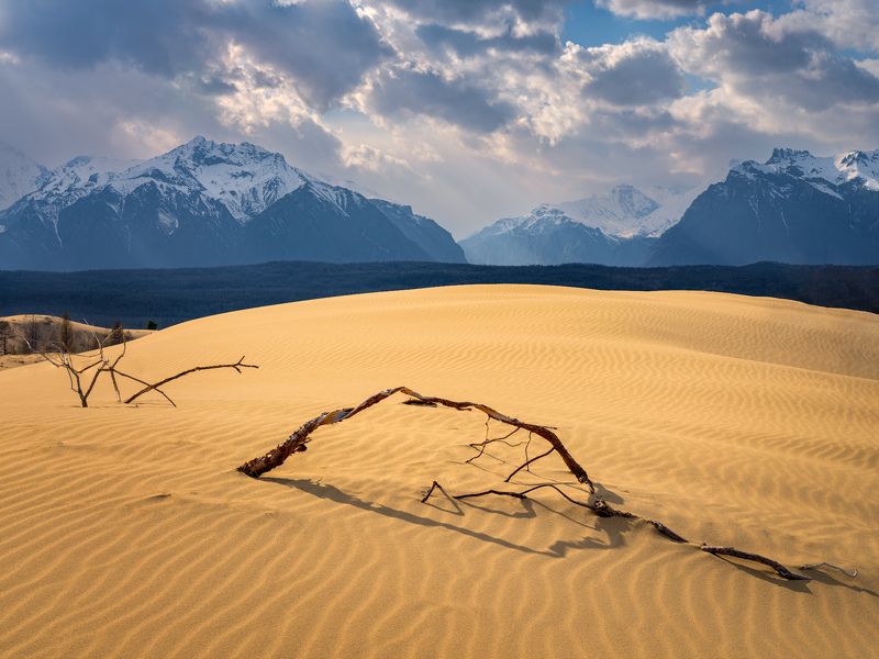 Силуэты...photo preview